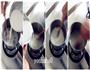 自制健康美味的-绿豆凉粉的做法图解5
