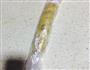 葡萄干饼干的做法图解3