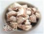 炖肉的做法图解5
