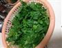 芹菜猪肉手工水饺的做法图解1