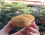 猴菇嫩鸡煲的做法图解1
