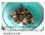 巧克力慕斯蛋糕的做法图解11