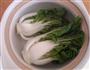 枸杞奶白菜蛤蜊清汤的做法图解3
