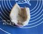 火腿全能量早餐的做法图解2