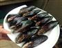 椰浆海虹的做法图解1