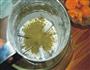 抹茶芒果糯米糍的做法图解2
