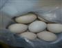 电饭锅煎鸡蛋的做法图解1