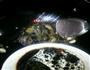家常版软兜长鱼的做法图解9