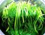 水煮牛肉的做法图解4