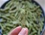 微波炉版干煸豆角的做法图解3
