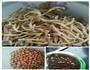 超级好吃下饭菜    萝卜干橄榄菜的做法图解1