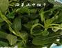 榨菜肉丝炒年糕-乌江榨菜的做法图解1