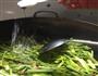 腊肉炒芹菜的做法图解8