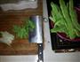 红烧芸豆的做法图解1