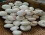 青椒圆菇的做法图解1