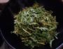 清炒蒜蓉茼蒿的做法图解1