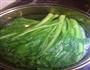 白灼菜心的做法图解3