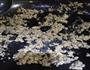 鱼香茄子的做法图解8