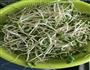 肉末豆芽的做法图解1