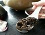 四季豆炒榄菜的做法图解5