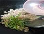 三丝炒猪肉的做法图解11