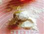 口口美味广式豆沙月饼的做法图解11