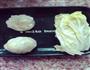 白菜鲜虾卷的做法图解5