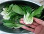 香菇油菜的做法图解2