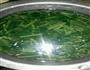 凉拌茼蒿的做法图解3