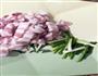 五花肉炒菜椒的做法图解3