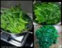 菠菜炒猪肝的做法图解3