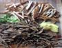 干豇豆茶干的做法图解1