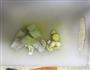 土豆红烧肉的做法图解3