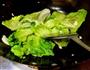 蒜泥豆酱生菜的做法图解4