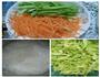 炝炒圆白菜粉丝的做法图解1