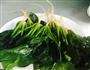 孜然菠菜的做法图解1