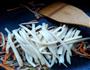 蚝油杏鲍菇炒肉丝的做法图解3