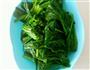 菠菜炒猪肝的做法图解4