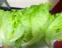 蚝油蒜泥生菜的做法图解1