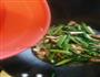 大葱青椒炒肉的做法图解12