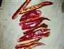 黑豆芽炒肉丝的做法图解3