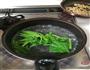 和风菠菜绿豆芽的做法图解6