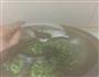 一道下饭快熟菜-榄菜四季豆的做法图解6