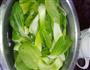 虾仁扒油菜的做法图解2