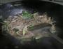 蒜苗金针菇炒肉丝的做法图解10