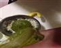 宝宝辅食系列2-胡萝卜青菜排骨面的做法图解6