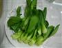 翡翠白菜水饺的做法图解1