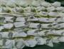 “新年一起下厨”美味三鲜饺子+馄炖的做法图解7