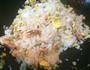 菠萝芝士焗饭的做法图解10