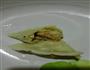 黄韭鲜虾馅饺子的做法图解7